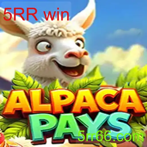 Introdução e Regras de AlpacaPays: Um Olhar Detalhado